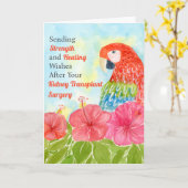Kidney Transplant Healing Scarlet Macaws, Hibiscus Kaart (Gele Bloem)