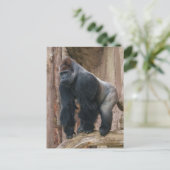 Kidogo de Silverback Een pose op een log slaan Briefkaart (Staand voorkant)