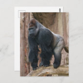 Kidogo de Silverback Een pose op een log slaan Briefkaart (Voorkant / Achterkant)