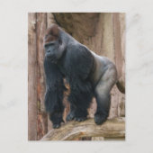 Kidogo de Silverback Een pose op een log slaan Briefkaart (Voorkant)