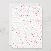 Kids Indoor Playground Red Birthday Party Kaart (Achterkant)