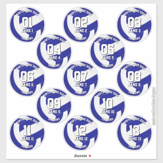kids teens royal blue white 13 volleyball club sticker (Vel)