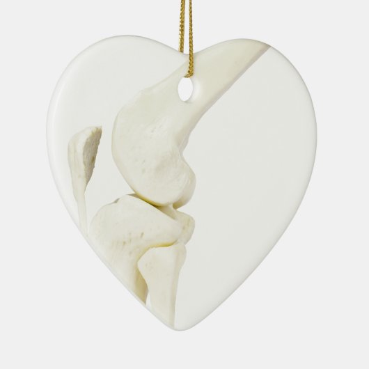 Kiegewrichtmodel van het menselijk been keramisch ornament (Rechts)