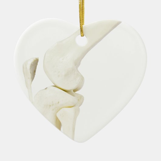 Kiegewrichtmodel van het menselijk been keramisch ornament (Voorkant)