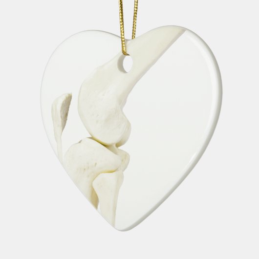 Kiegewrichtmodel van het menselijk been keramisch ornament (Links)