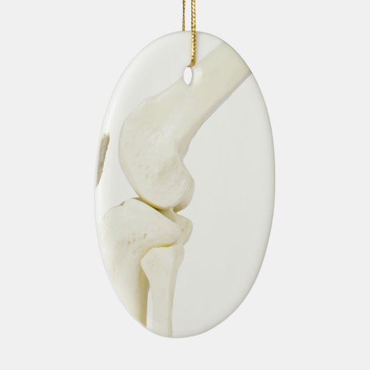 Kiegewrichtmodel van het menselijk been keramisch ornament (Rechts)