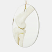Kiegewrichtmodel van het menselijk been keramisch ornament (Links)