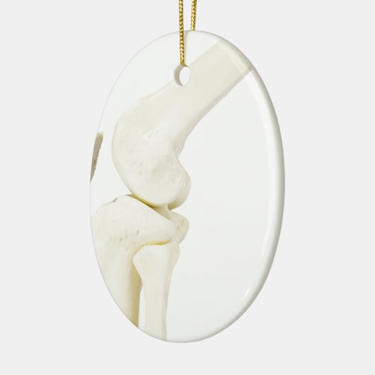 Kiegewrichtmodel van het menselijk been keramisch ornament (Links)