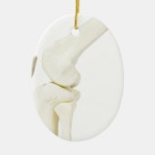 Kiegewrichtmodel van het menselijk been keramisch ornament (Voorkant)