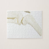 Kiegewrichtmodel van het menselijk been legpuzzel (Horizontaal)