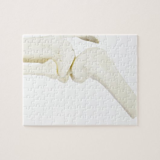 Kiegewrichtmodel van het menselijk been legpuzzel (Horizontaal)