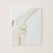 Kiegewrichtmodel van het menselijk been legpuzzel (Verticaal)