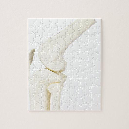 Kiegewrichtmodel van het menselijk been legpuzzel (Verticaal)