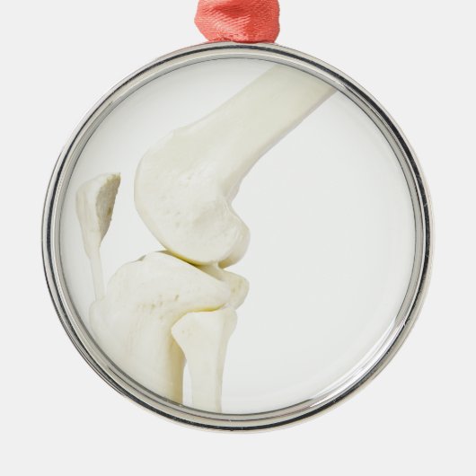 Kiegewrichtmodel van het menselijk been metalen ornament (Voorkant)