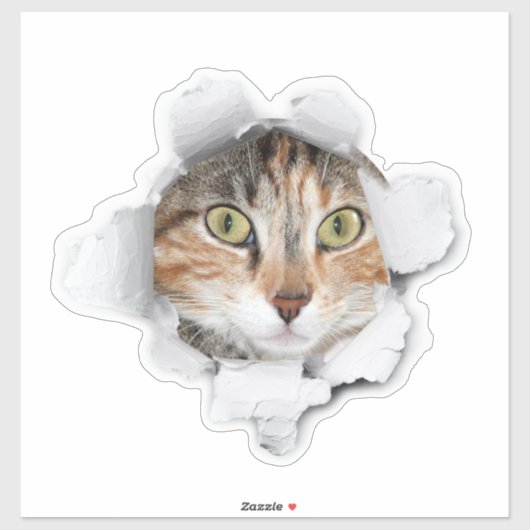 Kiekeboe Kat Bagage Sticker (Vel)