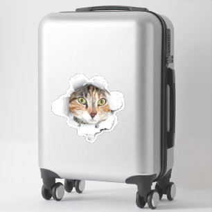 Kiekeboe Kat Bagage Sticker