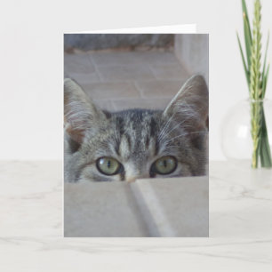 Kiekeboe kat blanke kaart