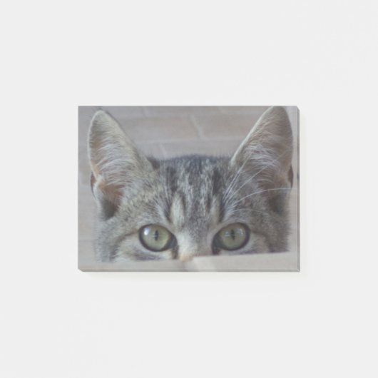 Kiekeboe katje post-it® notes (Voorkant)