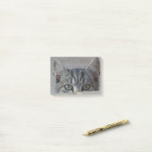 Kiekeboe katje post-it® notes (Op bureau)