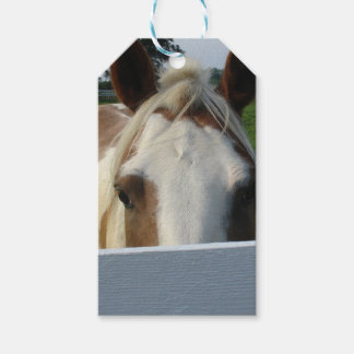 Kiekeboe Palomino Paard Achter Hek Cadeaulabel