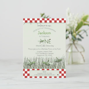 Kiekeboe Sprinkhanen 1e Verjaardag Picknickfeest Kaart