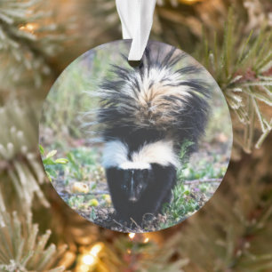 Kiekenzwart en wit ornament