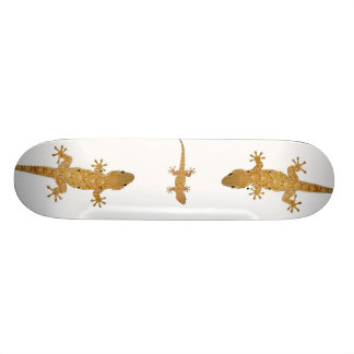 Kiekskateboard van de hagedis skateboard