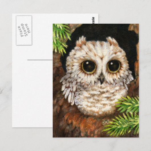 Kielzog omhoog, Weinig Uil - het Leuke Briefkaart (Voorkant / Achterkant)