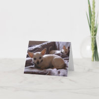 Kielzog op de Kaart van de Nota Chihuahua