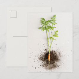 Kiem Wortel Minimalistische Botanische foto Briefkaart