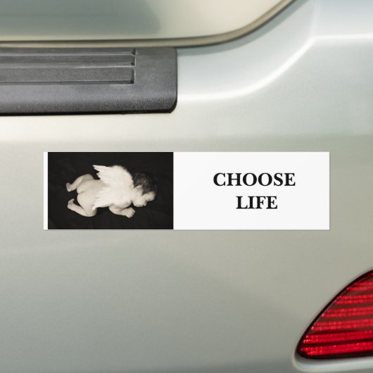 KIES Bumpersticker LEVENSDUUR (Op auto)