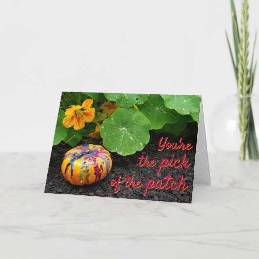 Kies de pleister kaart (Voorkant)