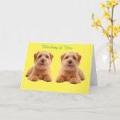 Kies een welkomstkaart kaart (Gele Bloem)