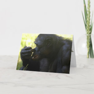 Kies een winnaar bedankkaart