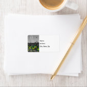 Kies het label Adres selecteren voor zetel (Insitu)