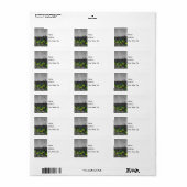 Kies het label Adres selecteren voor zetel (Full Sheet)