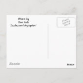 Kies je eigen meloenen briefkaart (Achterkant)