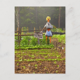 Kies je eigen meloenen briefkaart