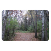 Kies je pad. magneet (Horizontaal)