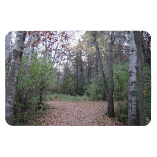 Kies je pad. magneet