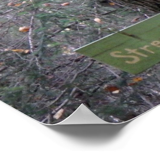 Kies je pad poster (Hoek)