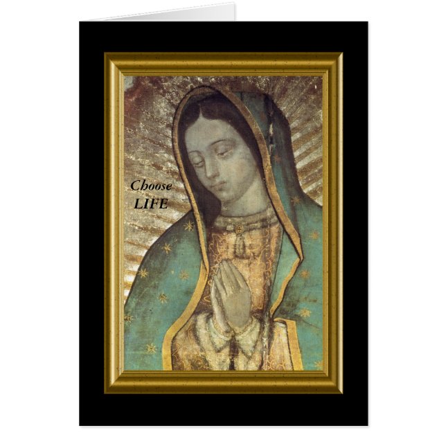 Kies LIFE (Voorkant)