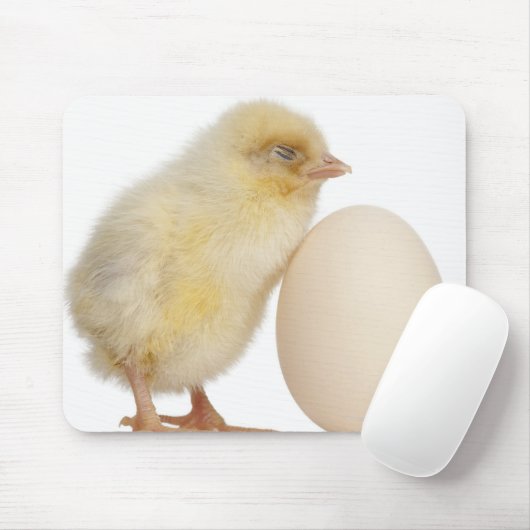 Kies met ei (2 dagen oud) muismat (Met muis)
