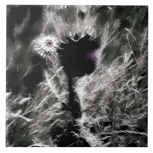 Kies mij tegeltje (Voorkant)