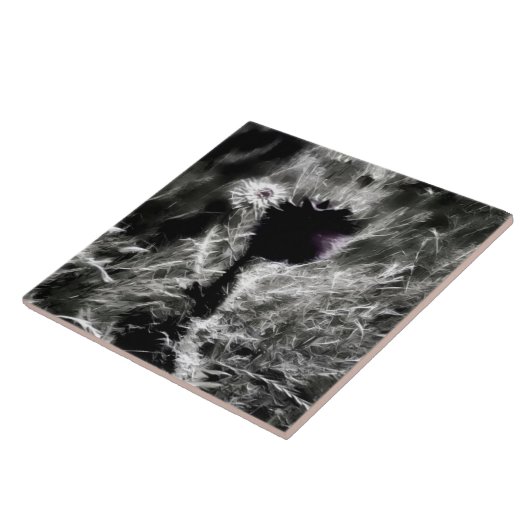 Kies mij tegeltje (Zijkant)