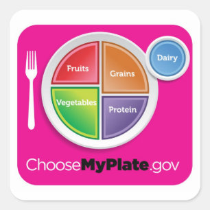 Kies MyPlate Sticker - Magenta