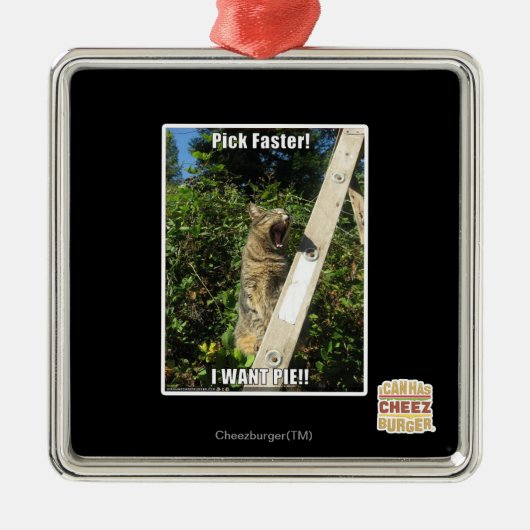 Kies sneller! metalen ornament (Voorkant)