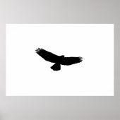 KIES UW ACHTERGRONDKLEUR! Black-Red-Tail Hawk Poster (Voorkant)