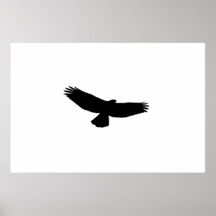 KIES UW ACHTERGRONDKLEUR! Black-Red-Tail Hawk Poster