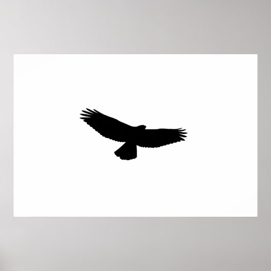 KIES UW ACHTERGRONDKLEUR! Black-Red-Tail Hawk Poster (Voorkant)